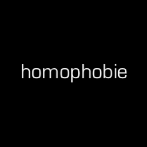 Agression homophobe près de Lyon, deux jeunes de 17 et 19 ans arrêtés  - Homophobie
