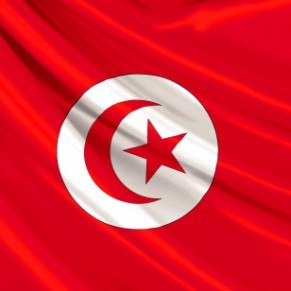 Tunis a rejeté 2 recommandations du Conseil des droits de l'Homme de l'ONU - Droits des homosexuels