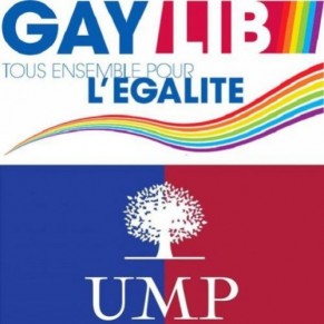 GayLib critique la stratgie de l'UMP et appelle  voter les rformes LGBT - Egalit
