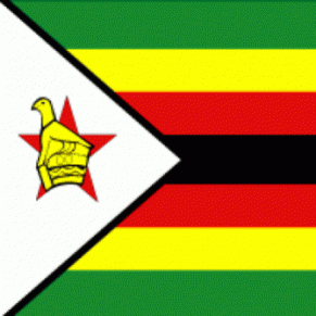 La police perquisitionne les bureaux d'un groupe gay à Harare