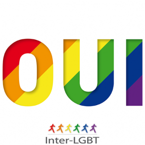 L'Inter-LGBT salue <I>une libration aprs des annes de mobilisation pour l'galit</I> - Mariage homo