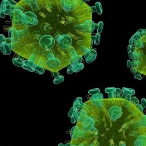 Nouveau test pour dtecter les anticorps contre le virus du sida - Etats-Unis