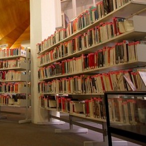 Le Printemps franais s'en prend aux bibliothques publiques - Genre