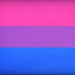Des bisexuels manifestent à Paris pour être reconnus à part entière - Sexualité