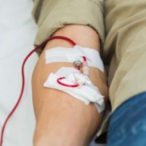 Pas de vote de la FDA sur l'interdiction aux gays de donner leur sang