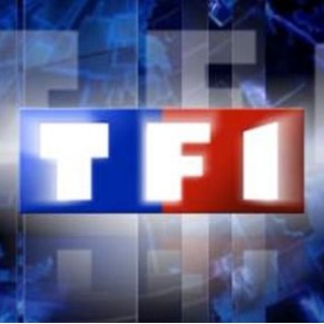 SOS homophobie dnonce les drapages homophobes successifs de TF1