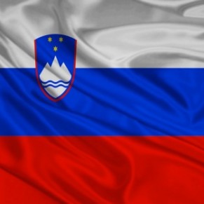 Le Conseil constitutionnel autorise un rfrendum contre le mariage gay - Slovnie 