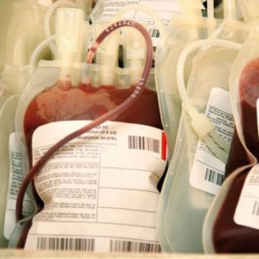 Le Canada rduit la priode d'exclusion pour les donneurs de sang homosexuels - Egalit