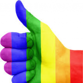Le plan daction du gouvernement salu par les associations  - Discriminations anti-LGBT