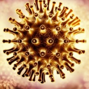 Des chercheurs franais trouvent un moyen de reprer une cachette du virus dans le corps - VIH / Sida