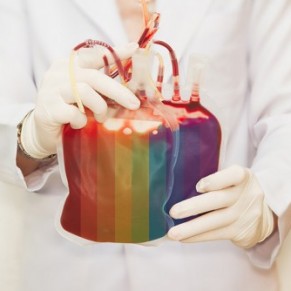 Le Conseil d'Etat confirme le dlai d'abstinence impos aux homosexuels pour faire un don de sang - VIH