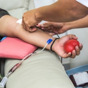 L'Assemble maintient la diffrence de traitement pour les donneurs homosexuels - Don de sang