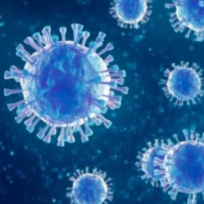 Des virus rcents moins meurtriers que ceux du 20me sicle  - Coronavirus / Sida 