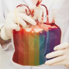 Les dputs suppriment la priode dabstinence pour les homosexuels - Don de sang 