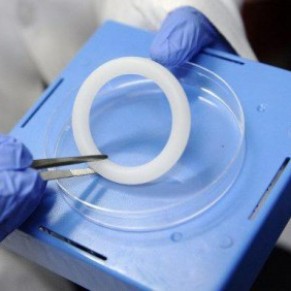 L'EMA met un avis positif sur un anneau vaginal  la dapivirine - VIH