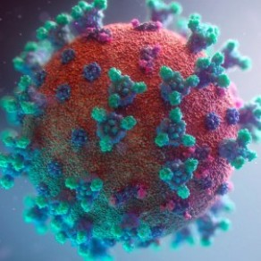 Les ravages du coronavirus compars  d'autres virus mortels - Covid-19 / VIH