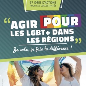 L'Inter-LGBT veut mobiliser pour les lections rgionales et dpartementales