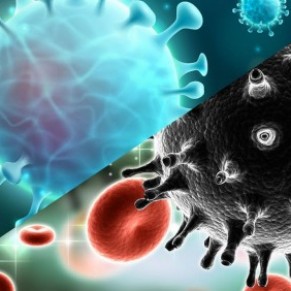 Les malades du sida pourront bnficier de deux traitements par anticorps de synthse - Traitement du Covid