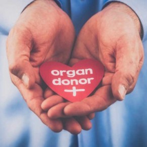 Le don d'organes autoris entre personnes porteuses du VIH  - Mdecine  